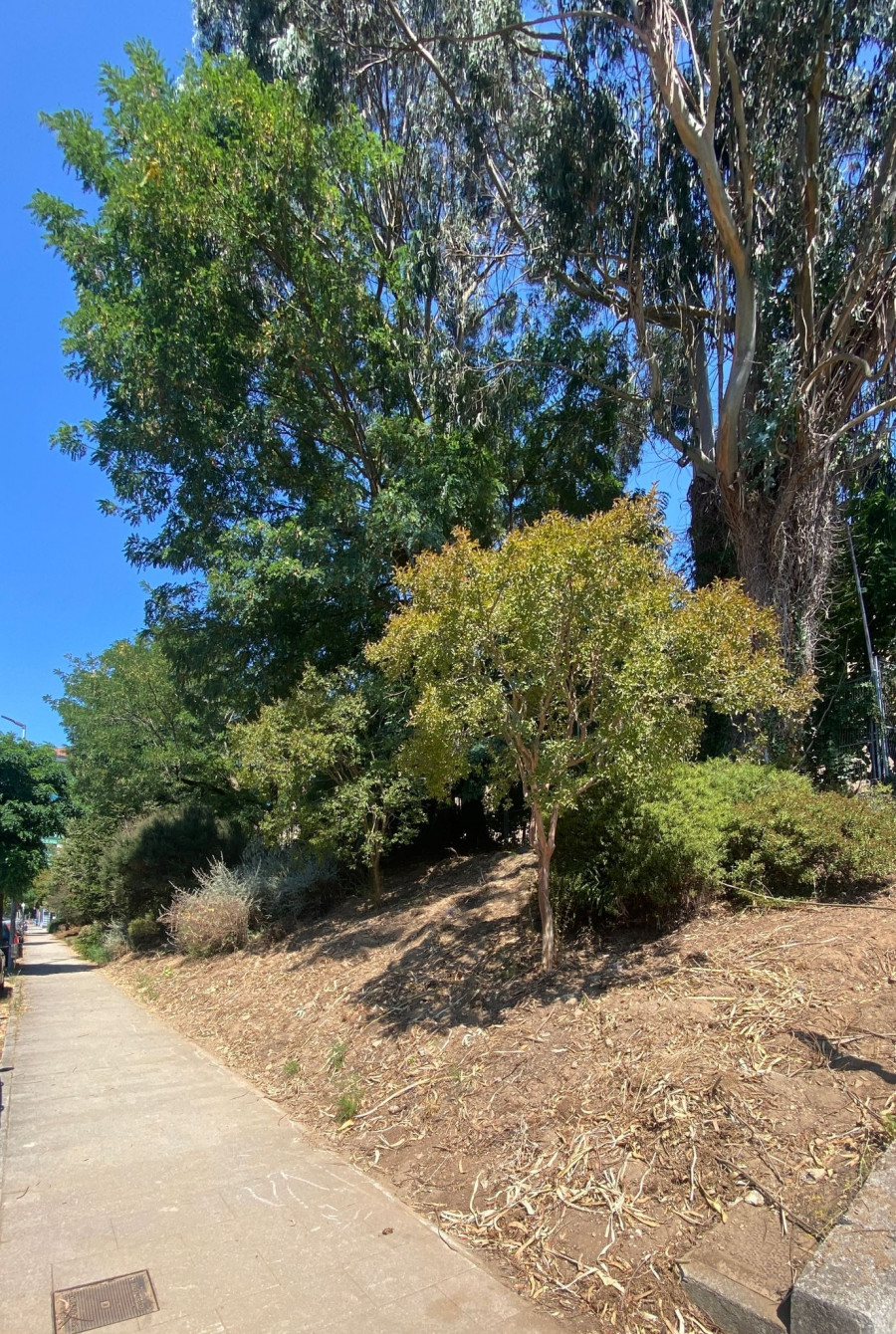 Avanzan os traballos para transformar Pontepedriña nun barrio verde