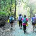 Camino de santiago col 20394735