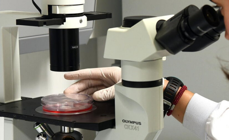 A USC capta máis da metade dos fondos para investigación competitiva do sistema universitario galego