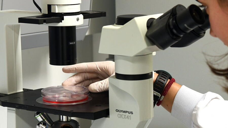 A USC capta máis da metade dos fondos para investigación competitiva do sistema universitario galego