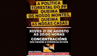 Santiago únese á onda de manifestacións contra a política forestal