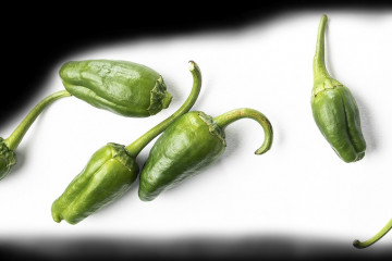 Pimientitos3