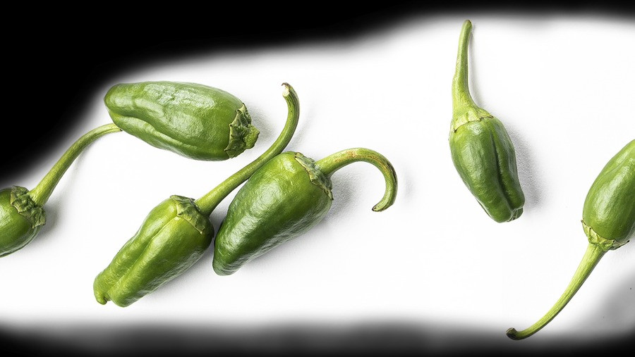 Un estudo da USC destaca o papel das Indicacións Xeográficas na sostibilidade do sector agrario