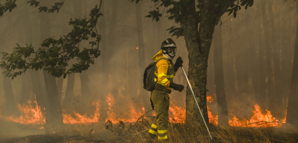 La Fiscalía investiga si los municipios más afectados por los incendios cuentan con planes de prevención