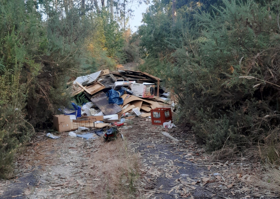 Hasta 9.000 euros de multa por tirar basura en los montes de Ames