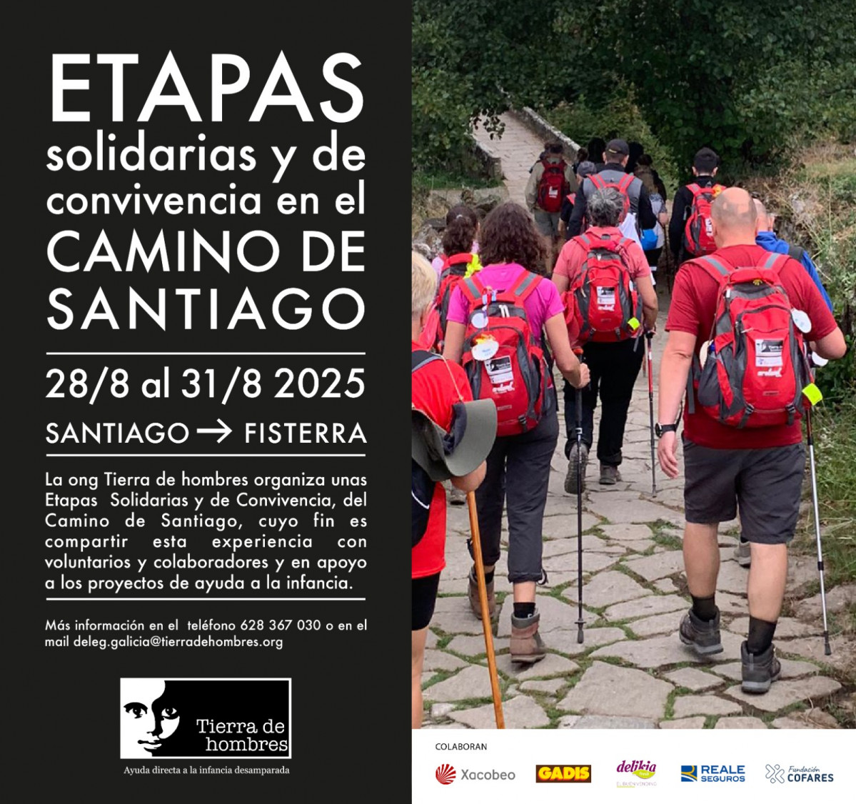 Cartel jornadas del camino