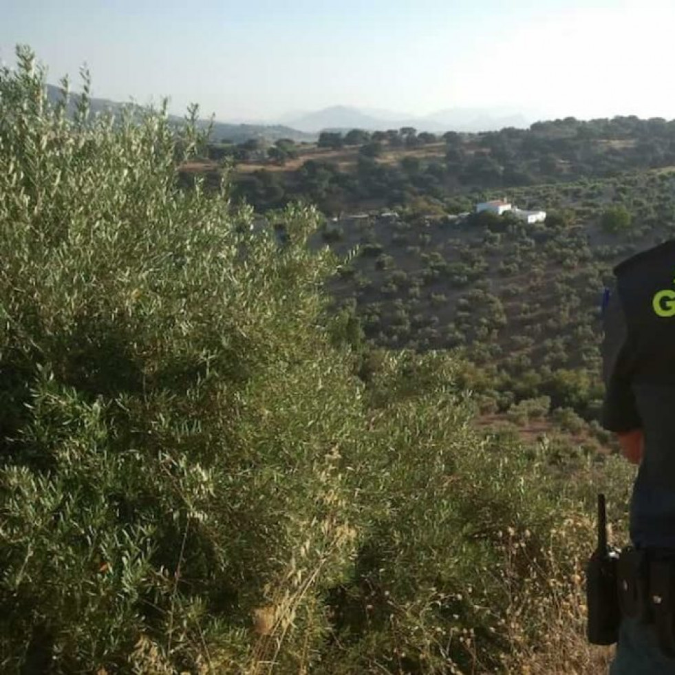 Detenido en O Pino un vecino acusado de provocar cuatro incendios forestales